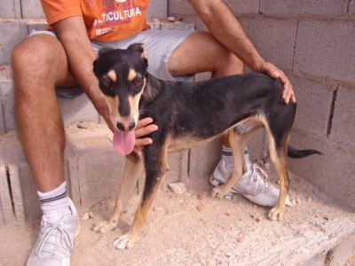 Careto – Optisch außergewöhnlicher Kinderfreund in der Familienoffensive!