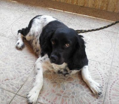 Tula – Ruhige, unglaublich anschmiegsame Schönheit auf Familieneroberung!