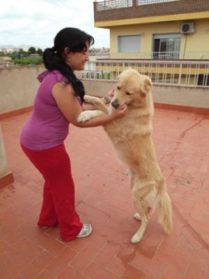 Coco – Ausgeglichenheit, Souveränität und super Optik für die Familiencouch!