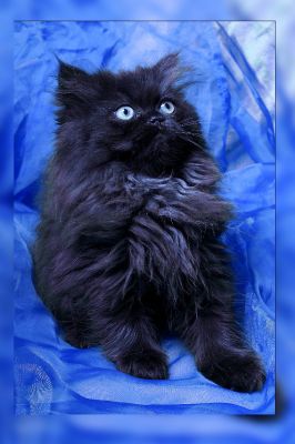 Wir suchen noch ein neues Zuhause!!!