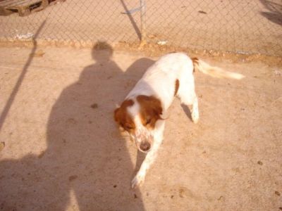 Lalo – Kleines, liebevolles Lalo Küsschen gefällig?