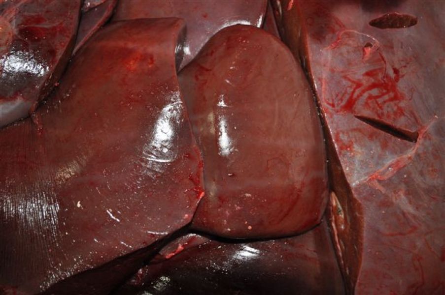 Rindfleisch - Herzen, Leber, Trimmings 80/20