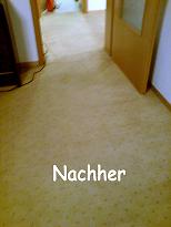 Profi Polstermöbelreinigung, Teppichbodenreinigung, Hannover