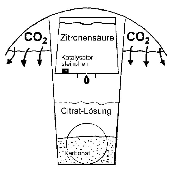 Söchting Carbonator / CO2 Anlage für das Aquarium mit bis zu 250l Aquariumwasser