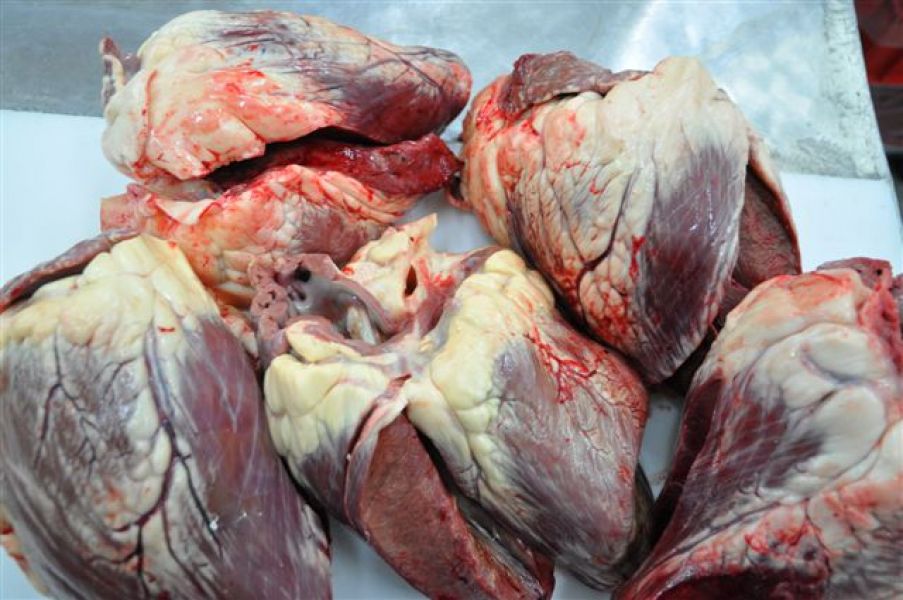 Rindfleisch - Herzen, Leber, Trimmings 80/20