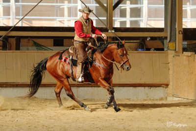 Bosal, Mecate, Bit, Westernsättel, Ropes,Sporen,Halstuchringe,