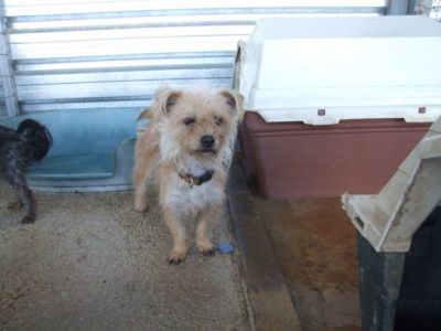 Muneca – Mini Fußhüpchen schaut flehendlich Richtung Couch!