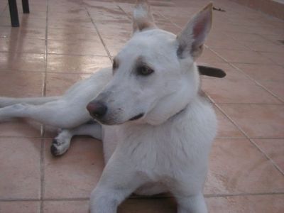 Lina – Bildschönes Beuteschema jeder fröhlichen Familie!