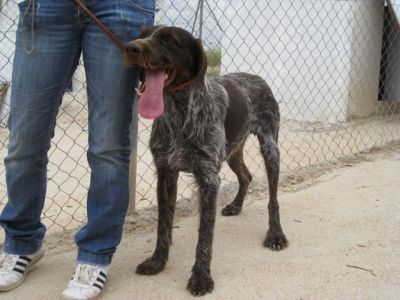 Piluco – Können diese Augen lügen?!