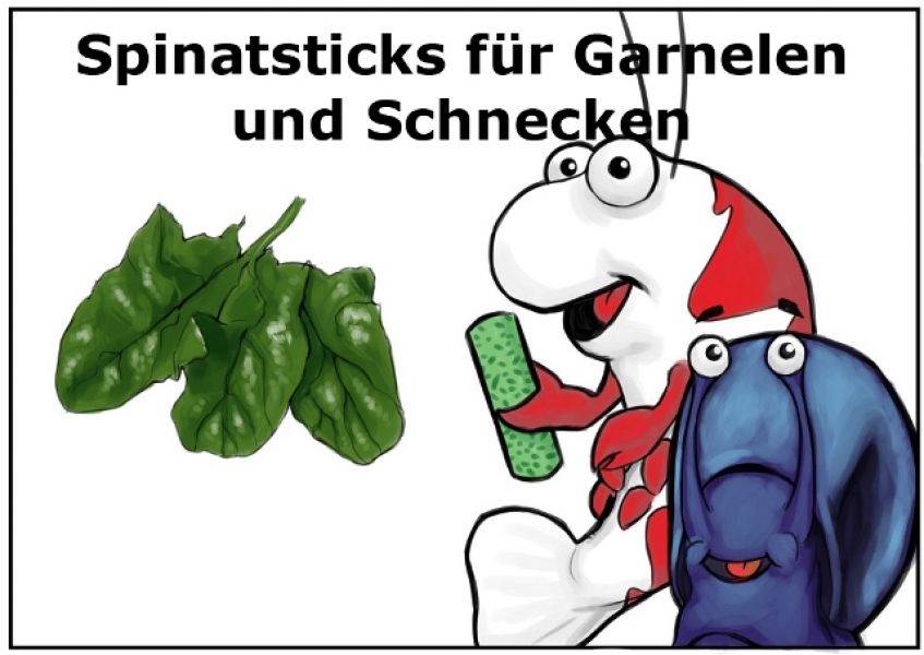 Paprika Sticks 100g - Garnelenfutter und Krebsefutter