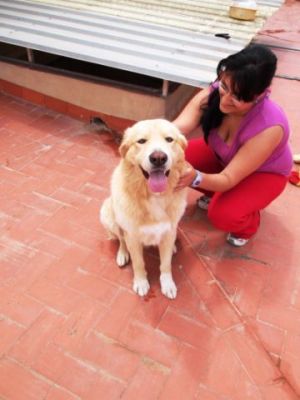 Coco – Ausgeglichenheit, Souveränität und super Optik für die Familiencouch!