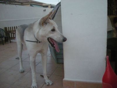 Lina – Bildschönes Beuteschema jeder fröhlichen Familie!