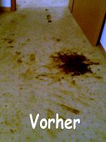 Profi Polstermöbelreinigung, Teppichbodenreinigung, Hannover