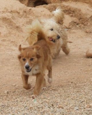 Tenko – Von Oma bis Säugling, hier kommt einfach Freude auf!