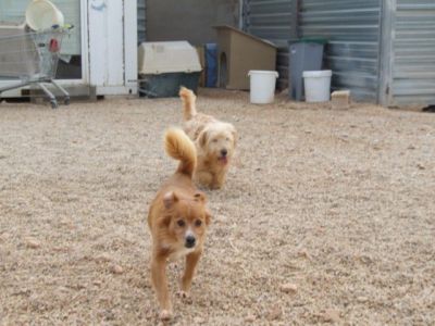 Tenko – Von Oma bis Säugling, hier kommt einfach Freude auf!