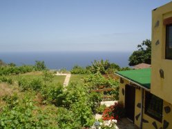Ferienhaus Teneriffa Finca Natural