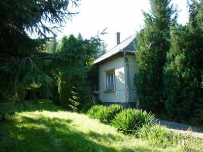 Bauernhaus Ungarn Plattensee Region Nr.40/21