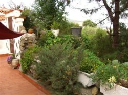 Ferienhaus auf Teneriffa - Casa Miguel