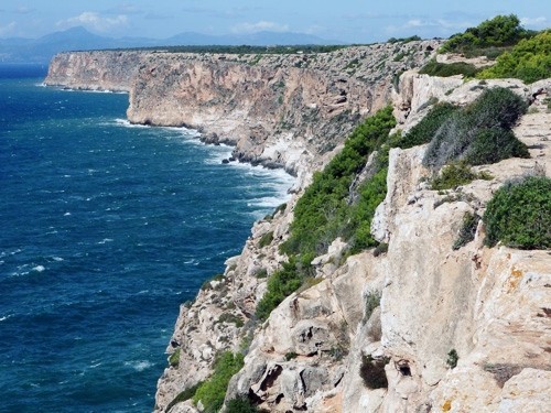 Finden Sie die passende Ferienwohnung für Ihren Urlaub auf Mallorca