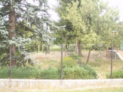 Bauernhaus Ungarn Plattensee Region 40/18 