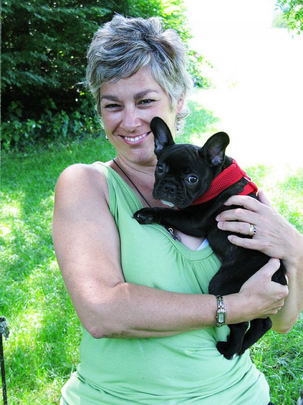 Französische Bulldoggen-Welpen 