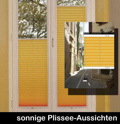 Plissee Rollo auf Maß nach Ihren Angaben -  Jalousie ab 39,99 €*