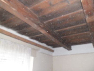 Bauernhaus Ungarn Plattensee Region Nr.20/01 