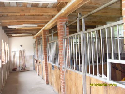 Wechselkurs jetzt günstig! Immobilien Ungarn Nr.60/13 