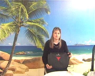 Mobiler Massagekissen MAXIWELL II