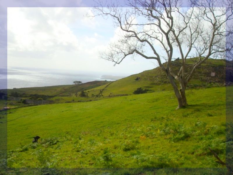 Portugal - Traditioneller „Palheiro“ 