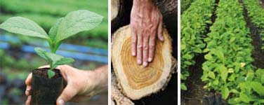 Holzpellets bei Super Pellets