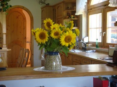 Wohnhaus Ungarn Plattensee Region Nr. 60/27 