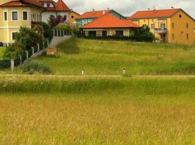 ** PREISHIT **  Sonniger Baugrund in Weitra  * PROVISIONSFREI *