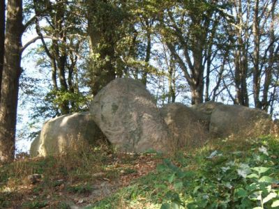 Schloßurlaub an der Ostsee: Jagdschloß zu Hohen Niendorf/ bei Kühlungsborn