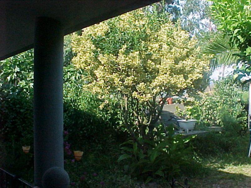 Reihennaus in Nordwest Spanien.