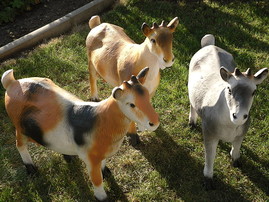 Gartenmöbel und Dekoartikelshop zum fairen Preis