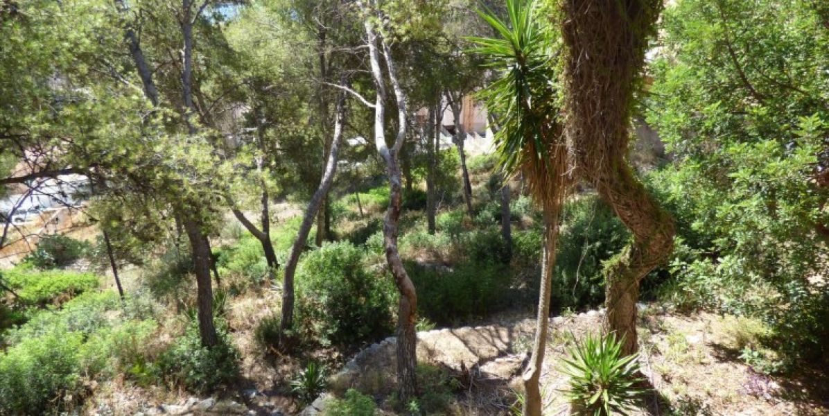 Einzigartige Immobile auf Mallorca