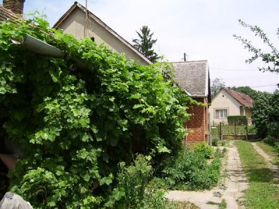 Bauernhaus Ungarn Plattensee Region Nr.33 