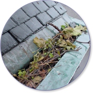 Dachrinnereinigung 1,99€ pro Meter zzgl. Mwst.