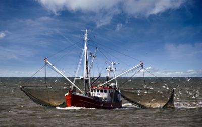 HAUS HORIZONT SAHLENBURG MEERBLICK FERIENWOHNUNG BESTE STRANDLAGE