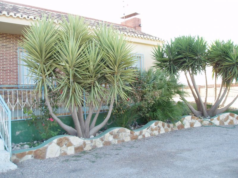 Häuser Farmen-SPANIEN Alicante-Orihuela