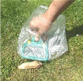 Frühjahr Angebot für alle Hundebesitzer