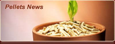 Holzpellets bei Super Pellets