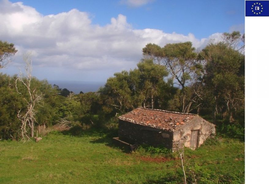 Portugal - Mühle - Meerblick