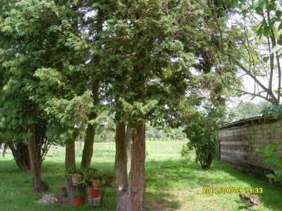 Wohnhaus Ungarn Plattensee Region Nr.40/22