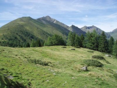 3 geräumige, bestens ausgestattete Ferienwohnungen im Herzen Österreichs