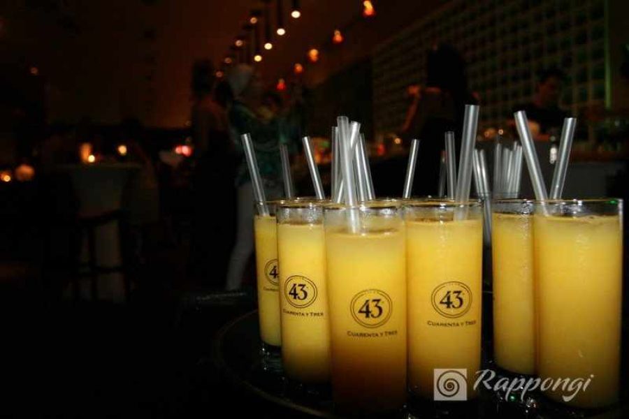 Event DJ für Empfänge / Empfang Party