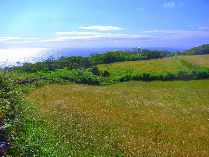 Portugal - Mühle - Meerblick