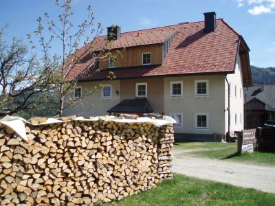 3 geräumige, bestens ausgestattete Ferienwohnungen im Herzen Österreichs