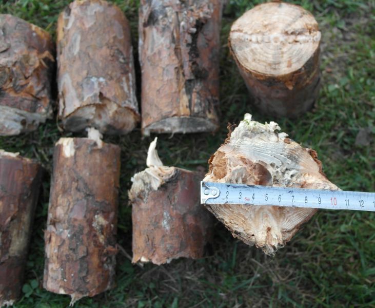 Holzhäcksler, Häcksler TOP Angebot